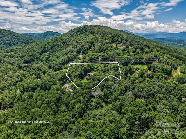 206 Summershade Ct, Asheville, NC 28806 - photo 4