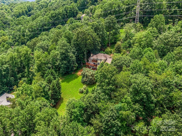 206 Summershade Ct, Asheville, NC 28806 - photo 5
