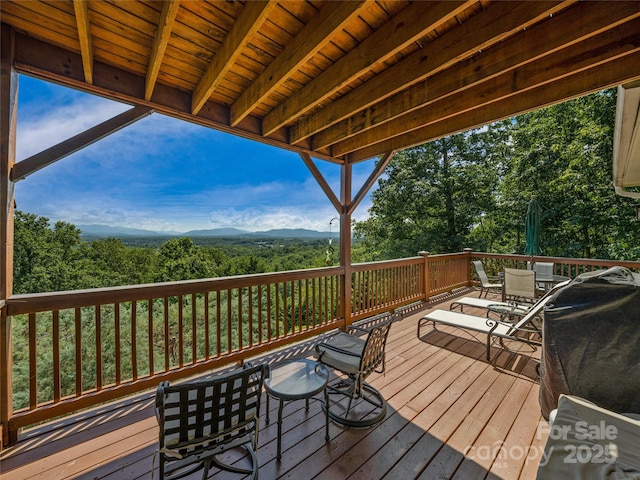 206 Summershade Ct, Asheville, NC 28806 - photo 19
