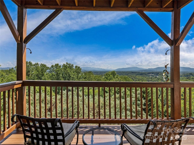 206 Summershade Ct, Asheville, NC 28806 - photo 20