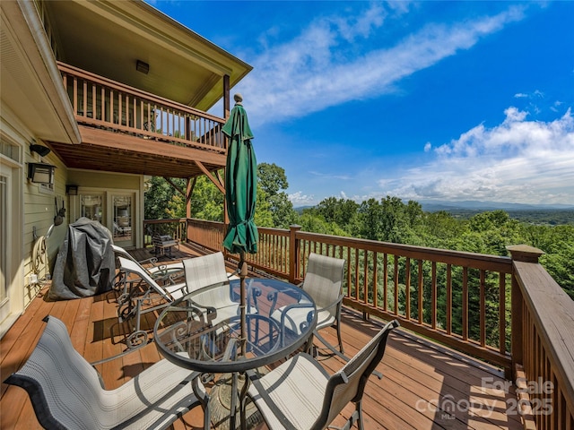 206 Summershade Ct, Asheville, NC 28806 - photo 22