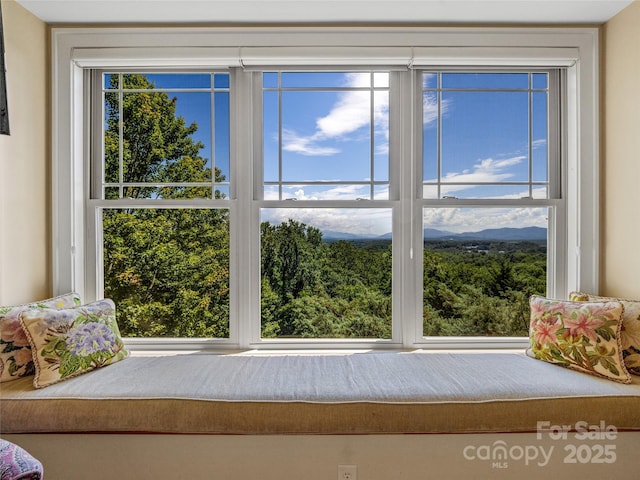 206 Summershade Ct, Asheville, NC 28806 - photo 30