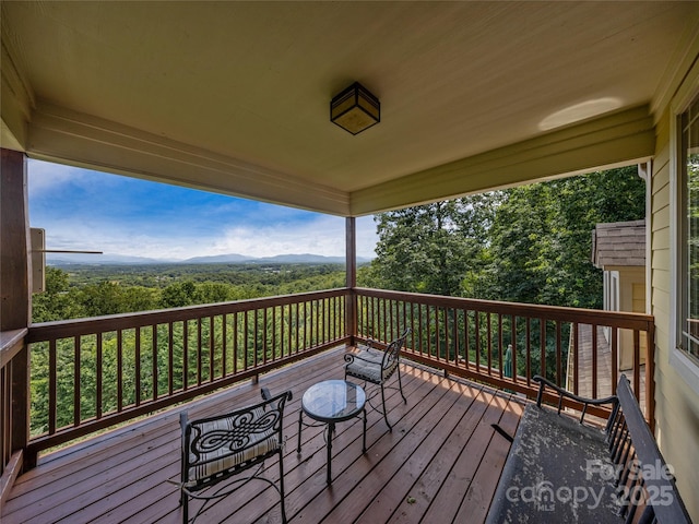 206 Summershade Ct, Asheville, NC 28806 - photo 36