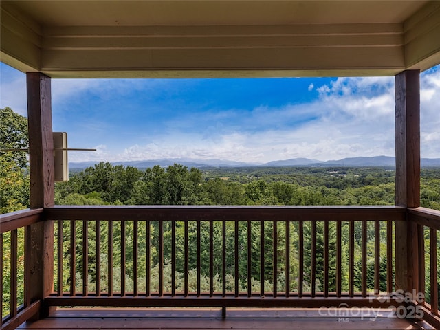 206 Summershade Ct, Asheville, NC 28806 - photo 37