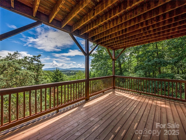 206 Summershade Ct, Asheville, NC 28806 - photo 43