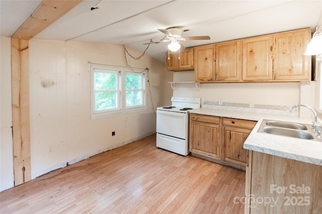 36 Pat Rogers Rd, Franklin, NC 28734 - photo 26