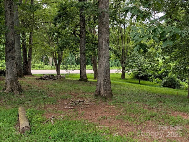 36 Pat Rogers Rd, Franklin, NC 28734 - photo 38