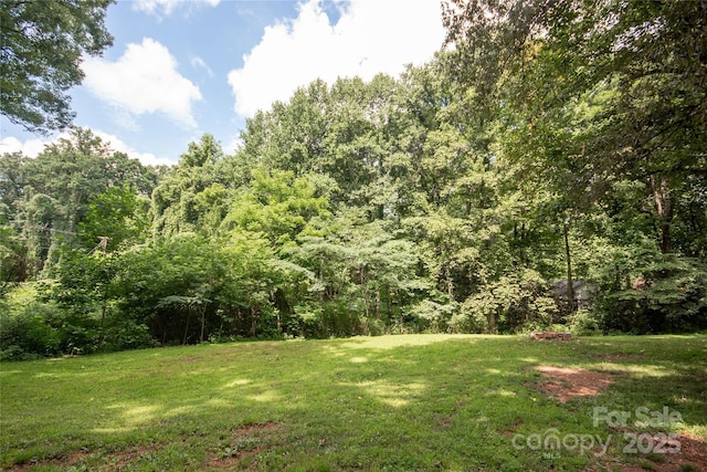 36 Pat Rogers Rd, Franklin, NC 28734 - photo 43