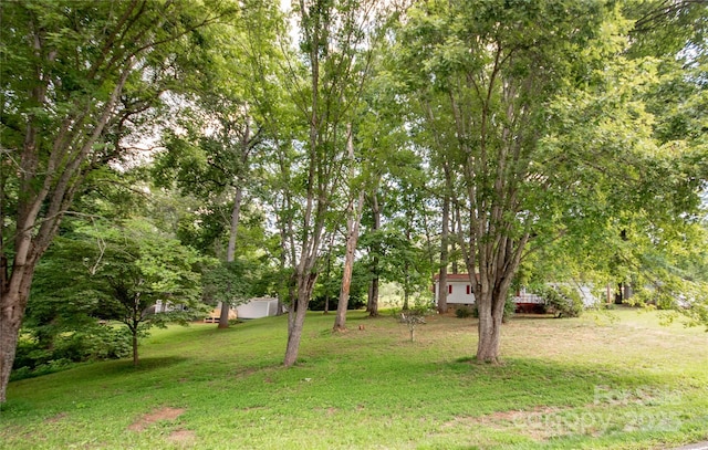 36 Pat Rogers Rd, Franklin, NC 28734 - photo 47