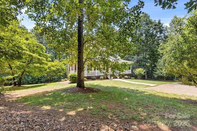 1021 Union Grove Rd, Union Grove, NC 28689 - photo 3