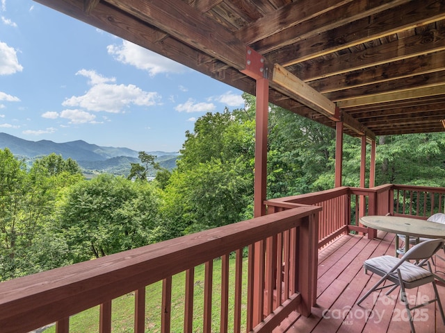 1541 Utah Mountain Rd, Waynesville, NC 28785 - photo 27