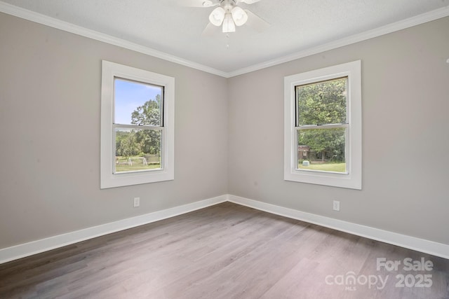 1150 Shue Rd, China Grove, NC 28023 - photo 11