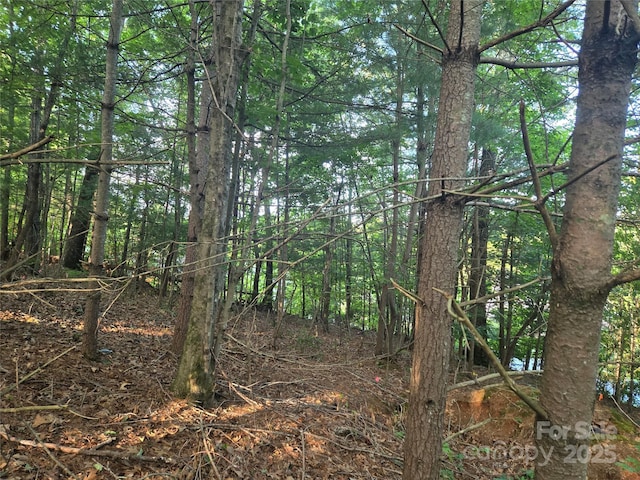 LOT42 Shadecrest Ln, Mills River, NC 28759 - photo 2