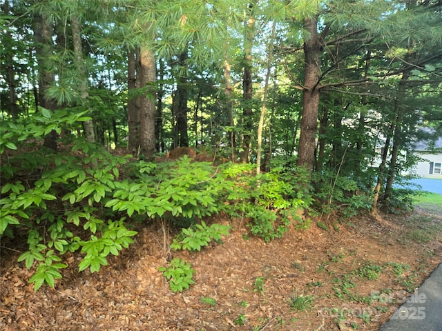 LOT42 Shadecrest Ln, Mills River, NC 28759 - photo 3