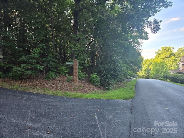 LOT42 Shadecrest Ln, Mills River, NC 28759 - photo 4