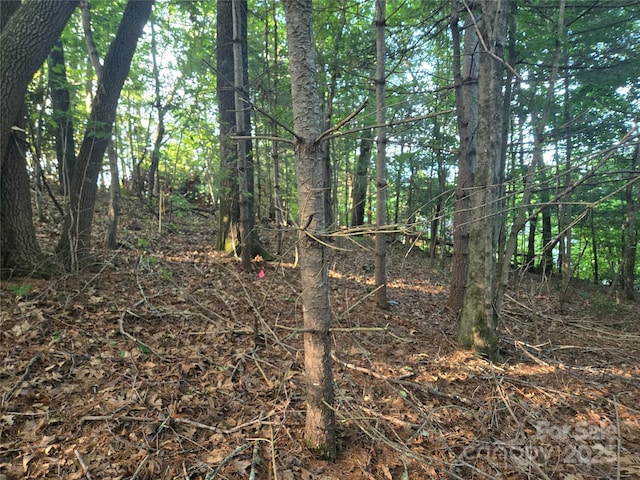 LOT42 Shadecrest Ln, Mills River, NC 28759 - photo 5