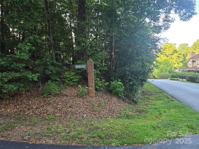 LOT42 Shadecrest Ln, Mills River, NC 28759 - photo 6