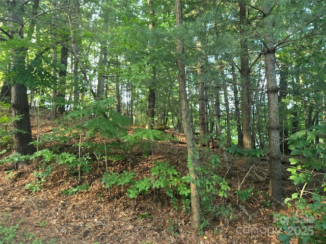 LOT42 Shadecrest Ln, Mills River, NC 28759 - photo 7