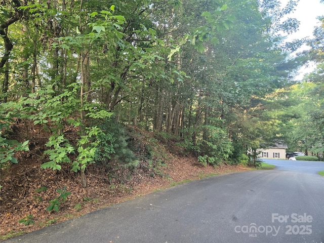 LOT42 Shadecrest Ln, Mills River, NC 28759 - photo 8