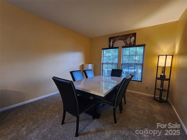 3824 Shasta Cir, Clover, SC 29710 - photo 12