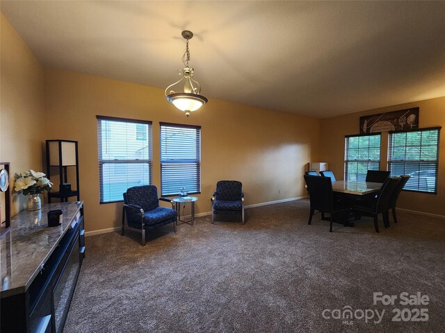 3824 Shasta Cir, Clover, SC 29710 - photo 16