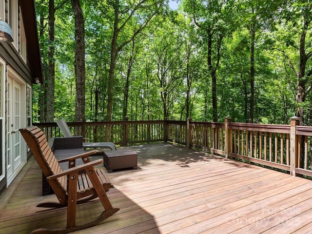 2838 Little Creek Rd, Hendersonville, NC 28792 - photo 29