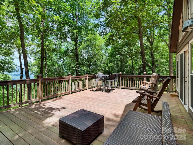 2838 Little Creek Rd, Hendersonville, NC 28792 - photo 30