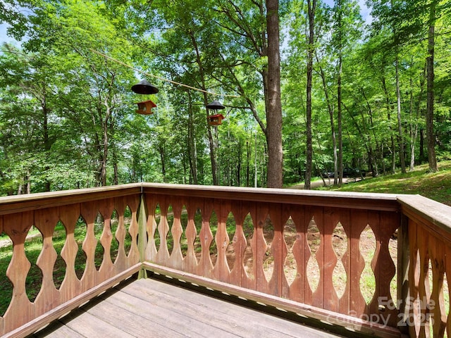 2838 Little Creek Rd, Hendersonville, NC 28792 - photo 36