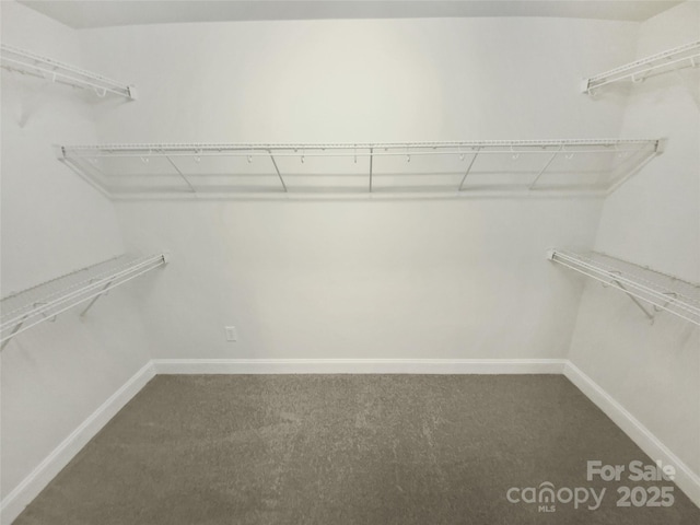 7042 Evanton Loch Rd, Charlotte, NC 28278 - photo 21