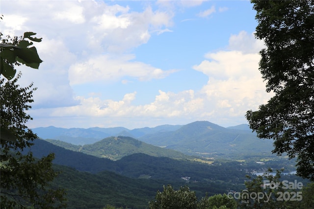 1551 Apple Creek Rd, Waynesville, NC 28786 - photo 1