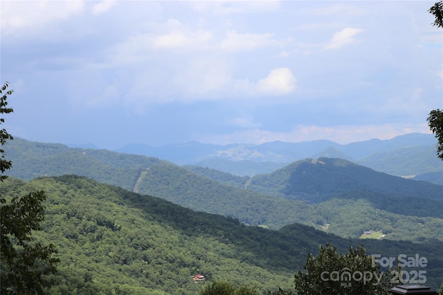 1551 Apple Creek Rd, Waynesville, NC 28786 - photo 2