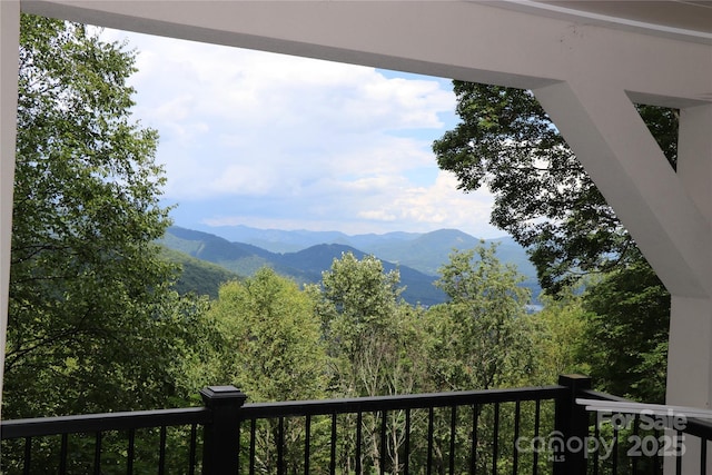 1551 Apple Creek Rd, Waynesville, NC 28786 - photo 3