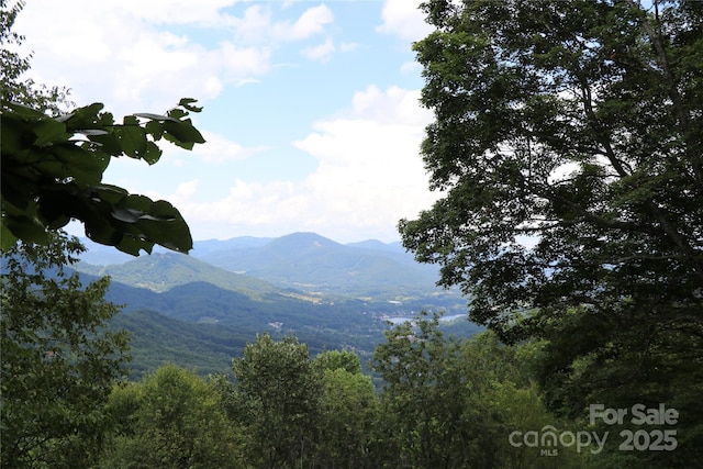 1551 Apple Creek Rd, Waynesville, NC 28786 - photo 4