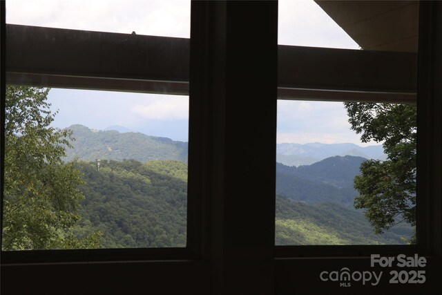 1551 Apple Creek Rd, Waynesville, NC 28786 - photo 8