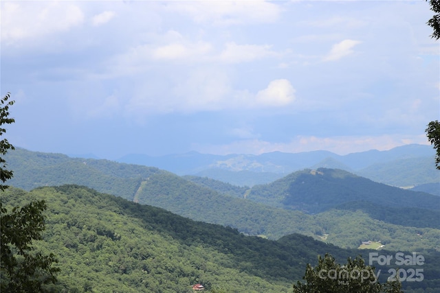 1551 Apple Creek Rd, Waynesville, NC 28786 - photo 20