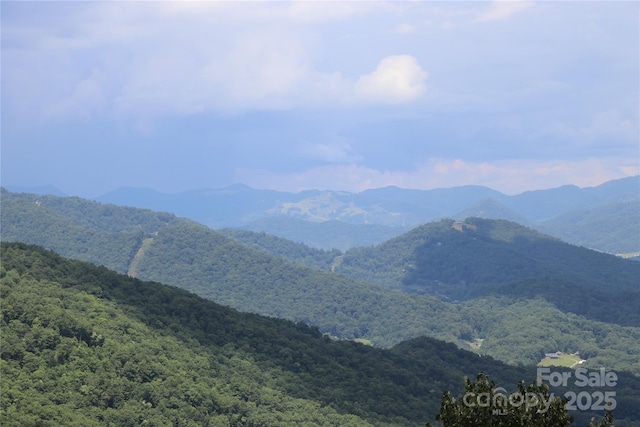 1551 Apple Creek Rd, Waynesville, NC 28786 - photo 21
