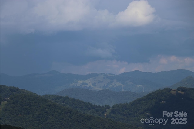 1551 Apple Creek Rd, Waynesville, NC 28786 - photo 22
