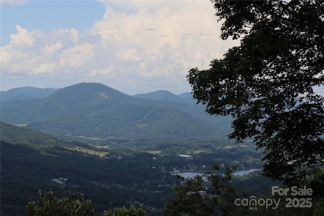1551 Apple Creek Rd, Waynesville, NC 28786 - photo 23