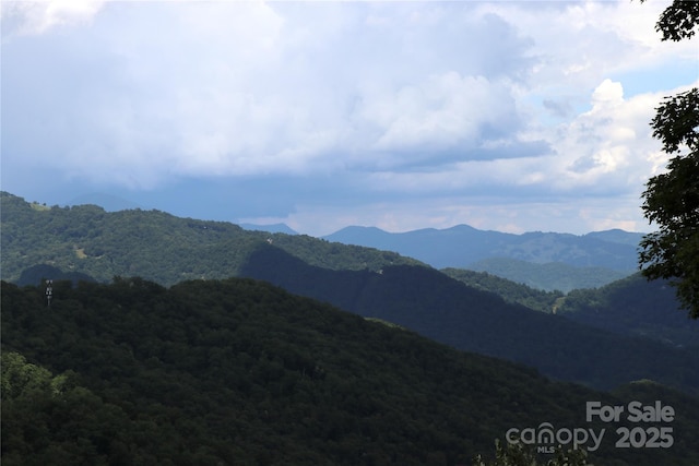 1551 Apple Creek Rd, Waynesville, NC 28786 - photo 24