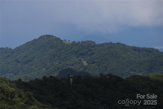 1551 Apple Creek Rd, Waynesville, NC 28786 - photo 25