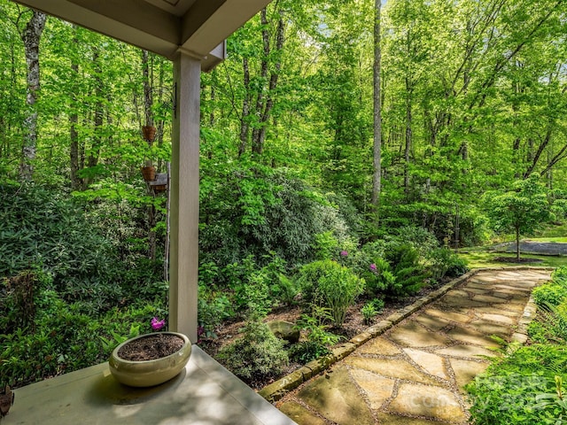 29 Stonehollow Ln, Brevard, NC 28712 - photo 8