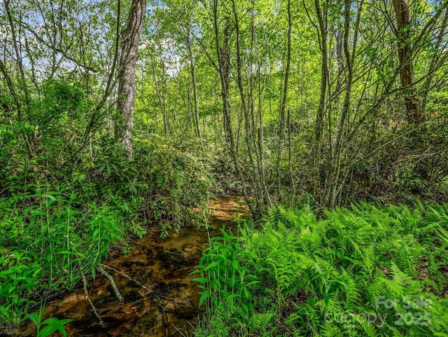 29 Stonehollow Ln, Brevard, NC 28712 - photo 12
