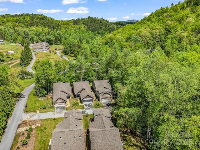 29 Stonehollow Ln, Brevard, NC 28712 - photo 14