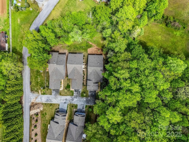 29 Stonehollow Ln, Brevard, NC 28712 - photo 16