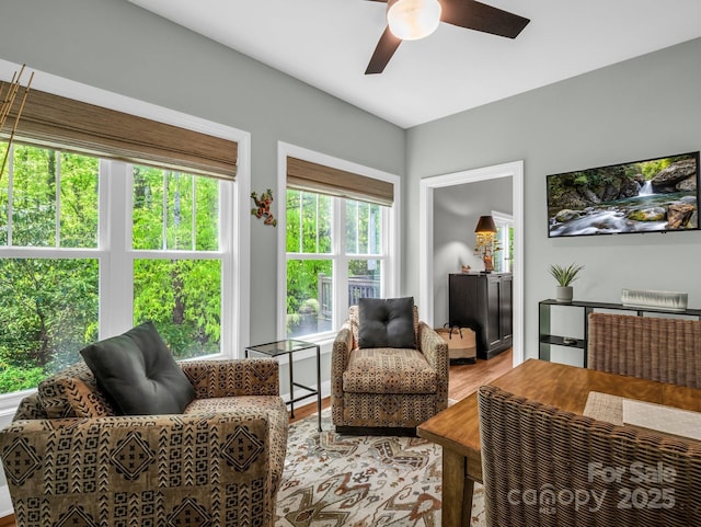 29 Stonehollow Ln, Brevard, NC 28712 - photo 28