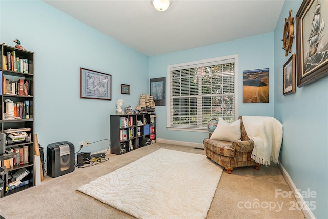 3004 Spruell Ct, Waxhaw, NC 28173 - photo 24