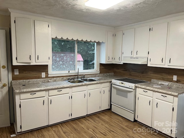 173 Spring Meadow St, Clover, SC 29710 - photo 10