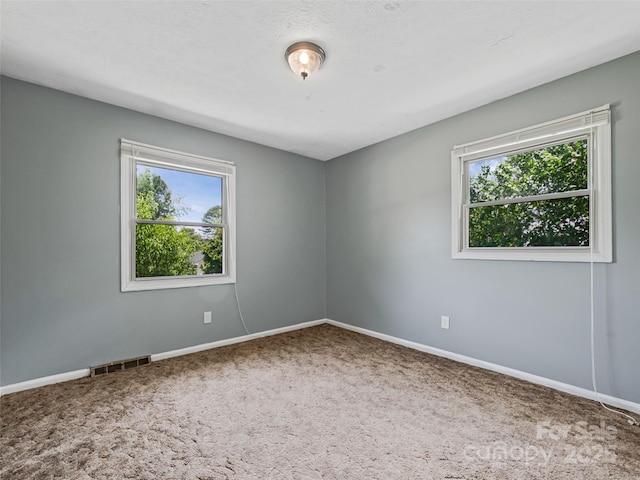 131 Maywood Rd, Hendersonville, NC 28792 - photo 18