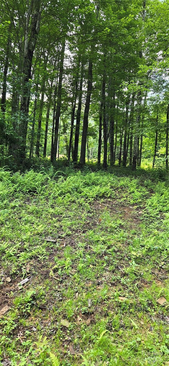 108 Tenderfoot Trail 108 & 109, Maggie Valley, NC 28751 - photo 2