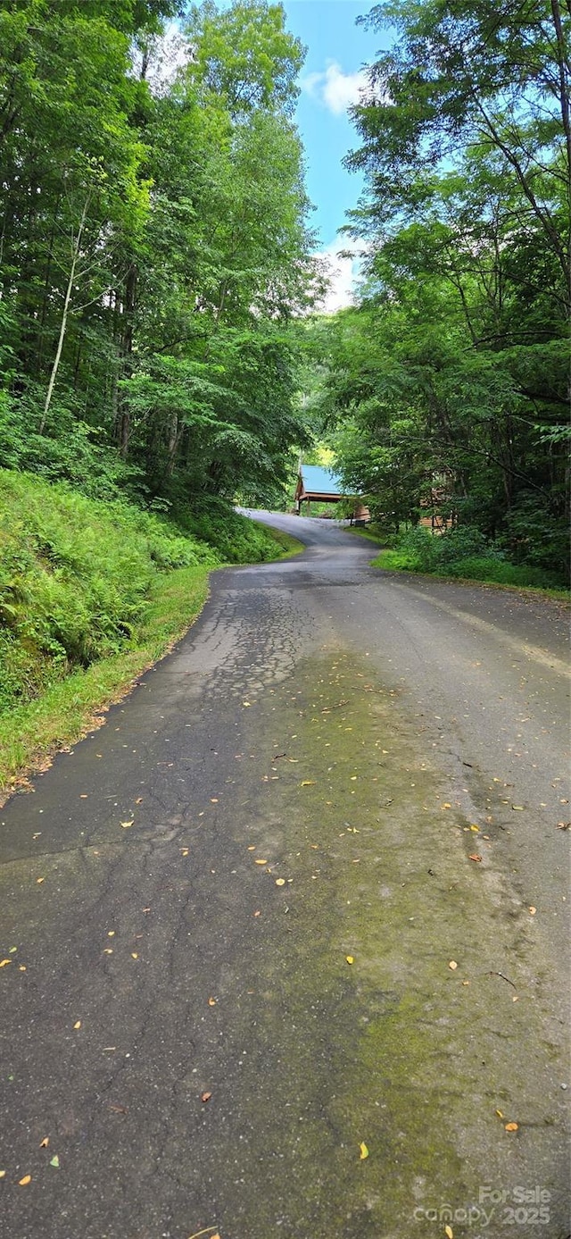 108 Tenderfoot Trail 108 & 109, Maggie Valley, NC 28751 - photo 3
